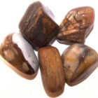 CANTO RODADO Madera Petrificada .Tamaños Variados.