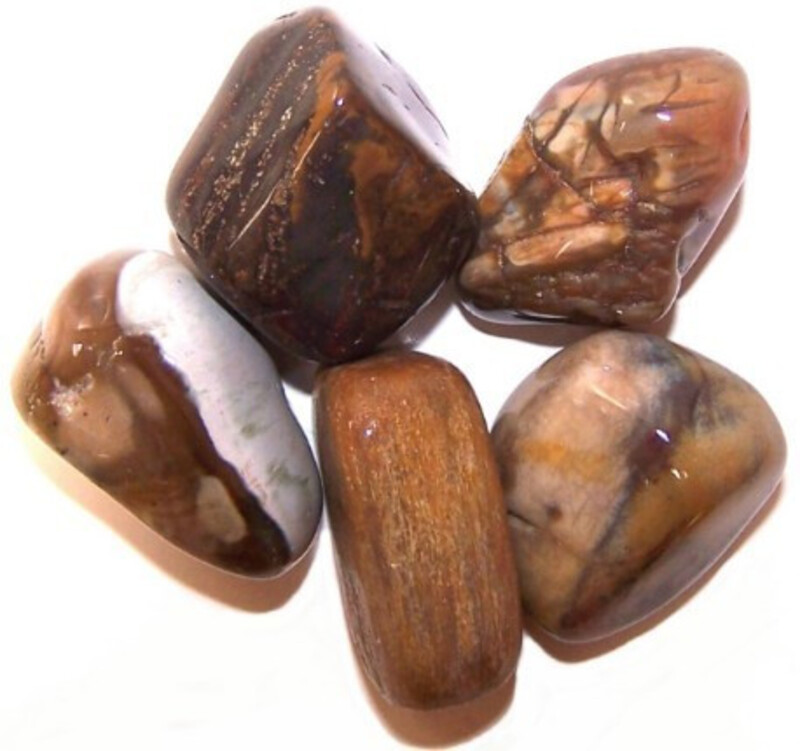 CANTO RODADO Madera Petrificada .Tamaños Variados.