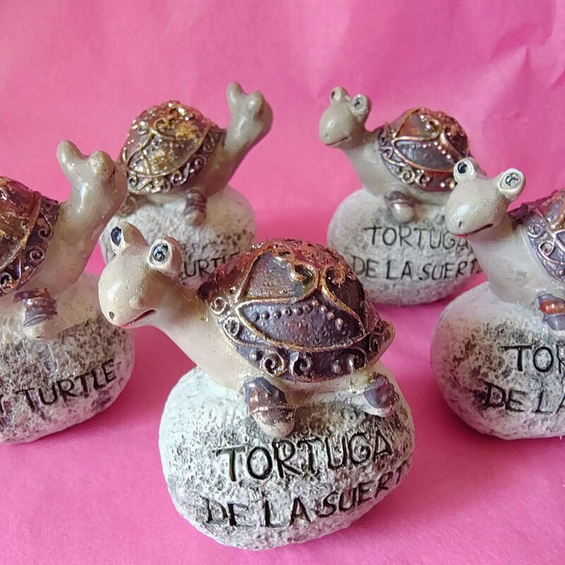 TORTUGA DE LA SUERTE. LONGEVIDAD, SABIDURÍA Y PACIENCIA