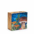 Caja Cuadrada Pequeña 10 x 10 x 4,2 cm Hongo Verde azulado. Seta