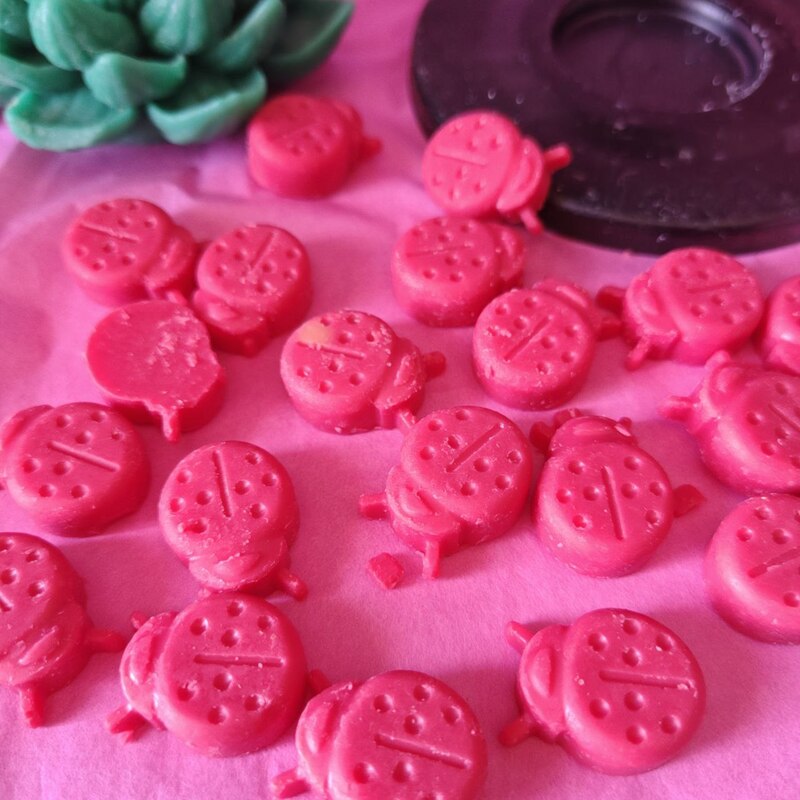 Cera Perfumada RATÓN DE JARDIN. Wax melts. Pedacitos de cielo. Aroma bits.. UNIDAD