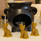 VELA GATO miel BRUJERIL PROTECTOR MINI