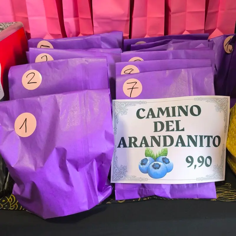 DINÁMICA CAMINO DEL ARANDANITO. SOBRES SORPRESA GRANDES