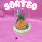 SORTEO VELÓN CÚPULA BUDA CON FLOR. UNGIDA Y RITUALIZADA. AROMATERAPIA