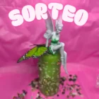 SORTEO VELÓN HADA DEL BOSQUE HADA LAVRIEL VERDE Y MARIPOSA VERDE EDICIÓN ESPECIAL