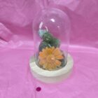 VELÓN CÚPULA BUDA CON FLOR. UNGIDA Y RITUALIZADA. AROMATERAPIA