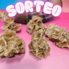 SORTEO Masivo de Rosa del desierto calidad superior