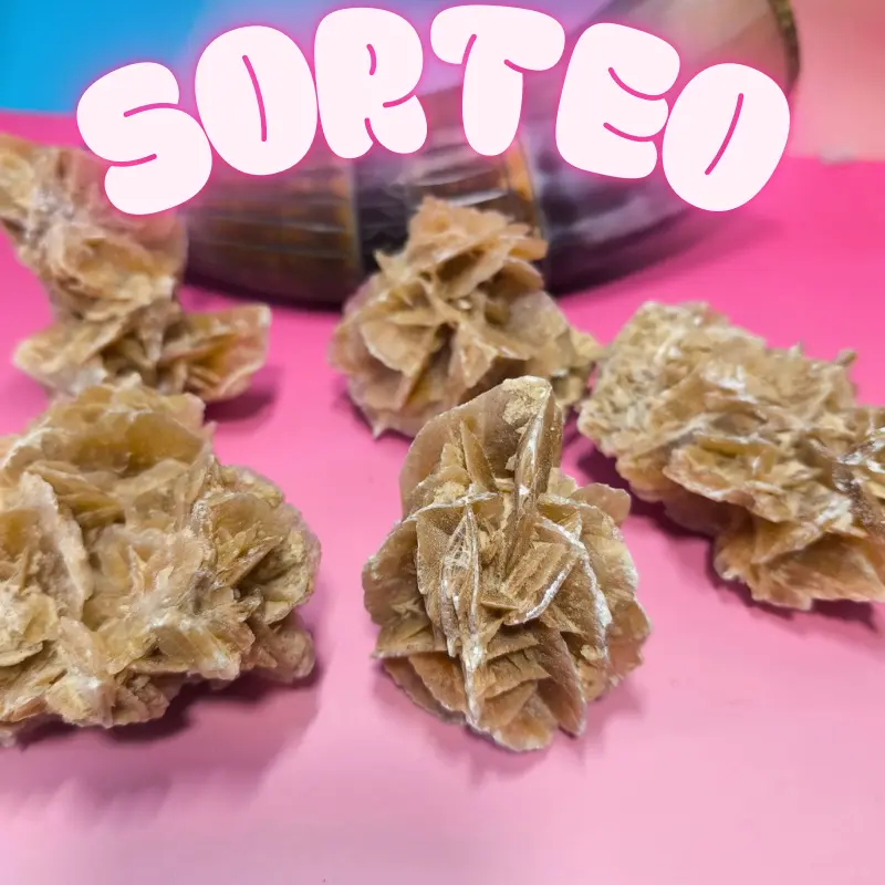 SORTEO Masivo de Rosa del desierto calidad superior