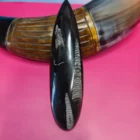 FÓSIL ORTHOCERA GRANDE EXTRA 13x40mm