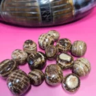 CANTO RODADO Aragonito 25 a 40mm