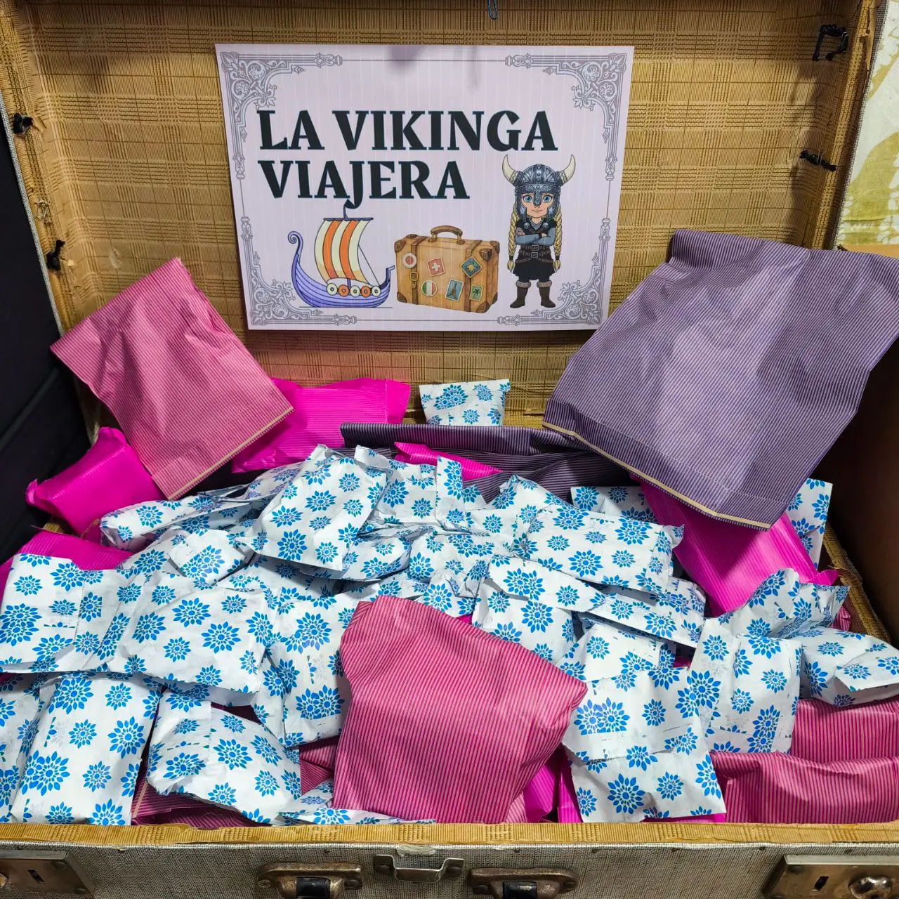 DINÁMICA LA VIKINGA VIAJERA