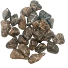 CANTO RODADO PIEDRA NATURAL Turritela Tamaños Variados 3 a 5Cms Aprox