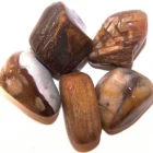 CANTO RODADO Madera Petrificada .Tamaños Variados.