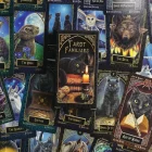BARAJA DE CARTAS DE TAROT FAMILIARS LISA PARKER: FOURNIER