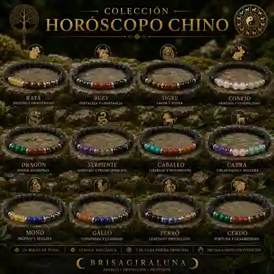 Colección Horoscopo Chino