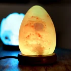 LÁMPARA SAL HIMALAYA Huevo Mágico USB.
