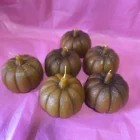 VELA CALABAZA DE LA COSECHA. MIEL MACIZA NATURAL. 7X6CM
