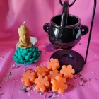 Cera Perfumada ROSA ETERNA . Wax melts. Pedacitos de cielo. Aroma bits.
