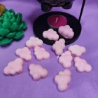 Cera Perfumada LA VIDA ES BELLA . Wax melts. Pedacitos de cielo. Aroma bits.