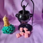 Cera Perfumada HADA DE LAS NIEVES . Wax melts. Pedacitos de cielo. Aroma bits.