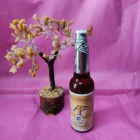 COLONIA ESOTÉRICA DE AGUA DE PALO SANTO. BOTELLA 70 ML MARCA C'EST BON