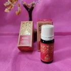 BOTE 10 ML ACEITE ESENCIAL MARCA AROMA: COPAL (AMBIENTADOR)